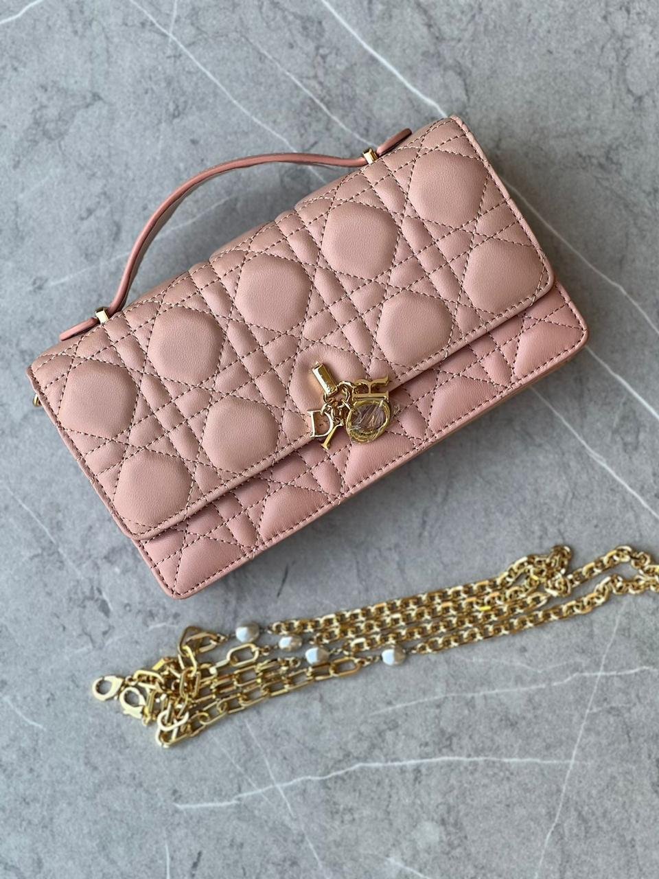 DIOR WALLET ON CHAIN