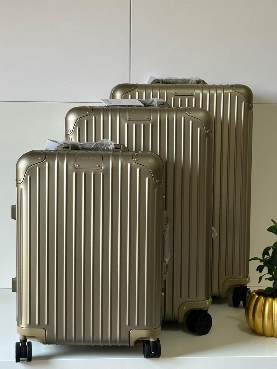 RIMOVA TROLLEY