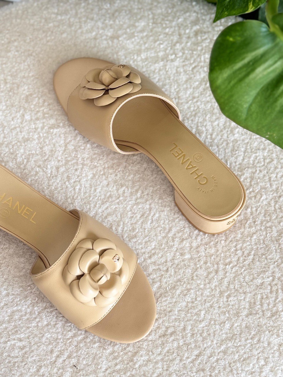 CHANEL