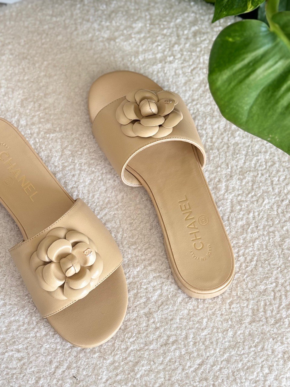 CHANEL