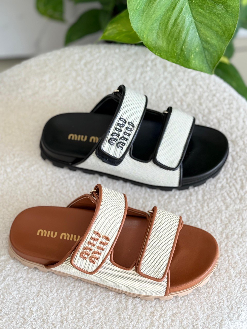 MIU MIU