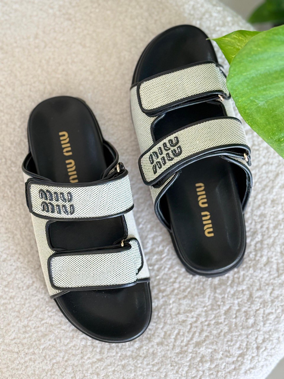 MIU MIU