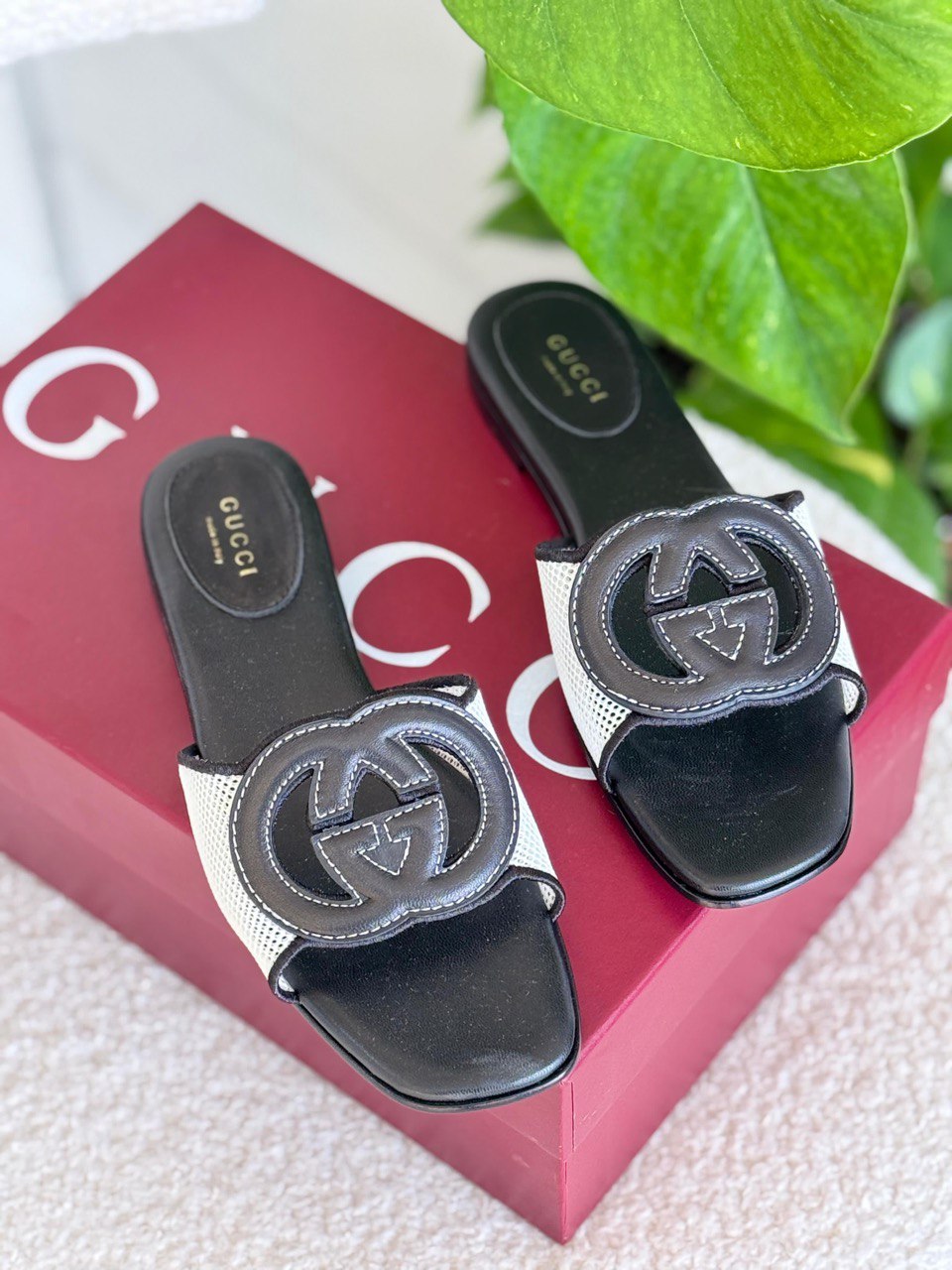 GUCCI