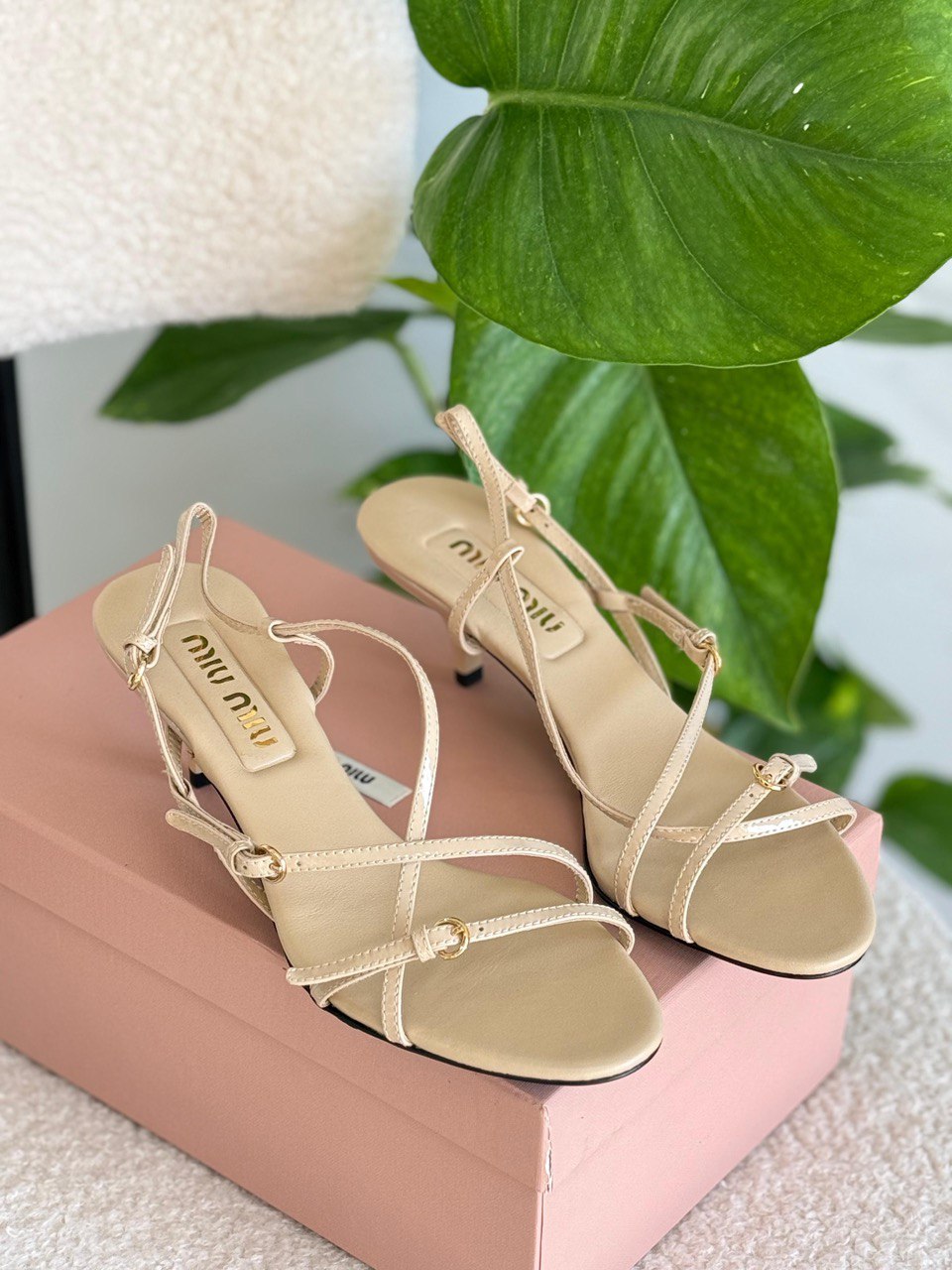 Miu Miu