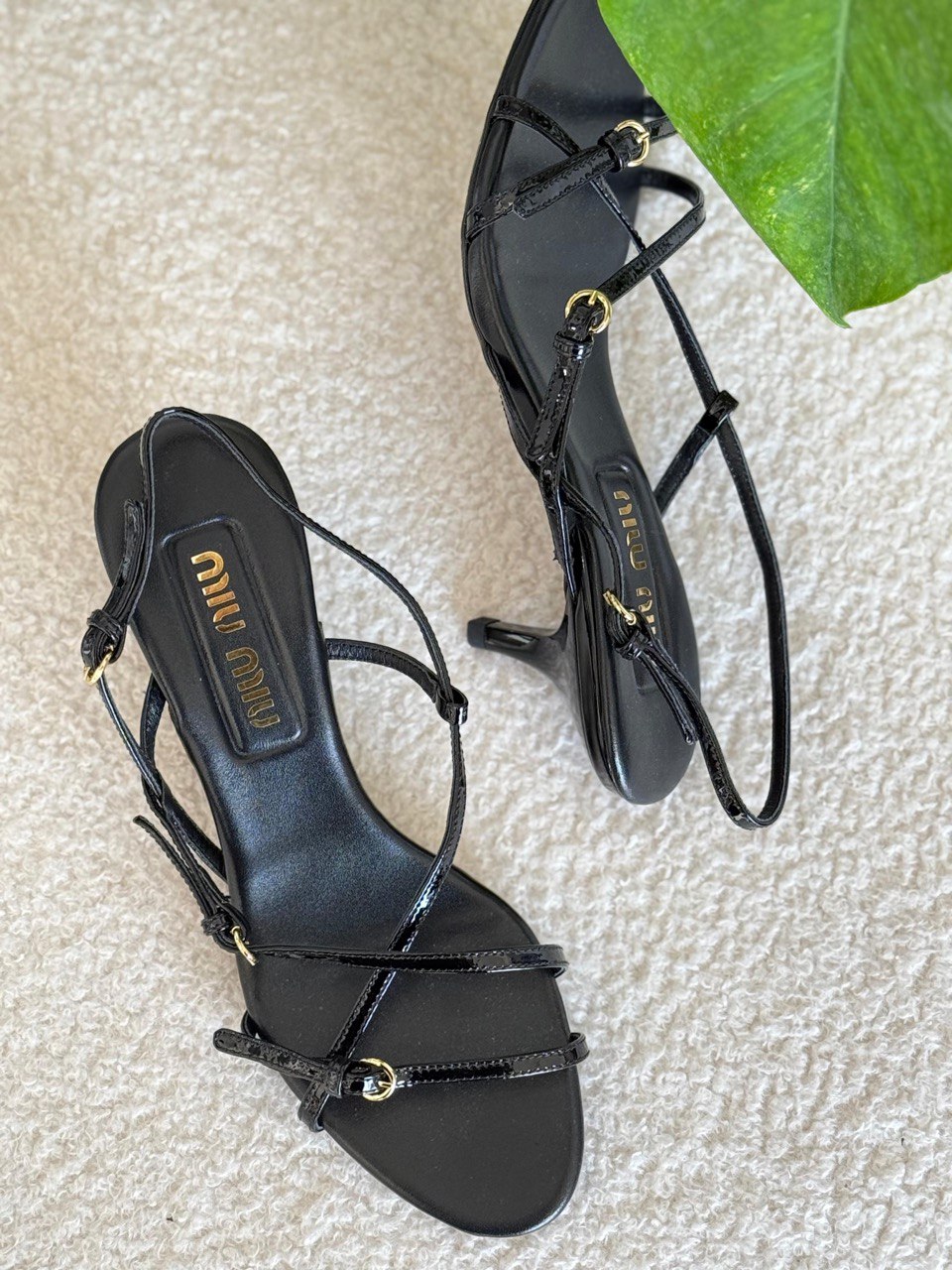 Miu Miu