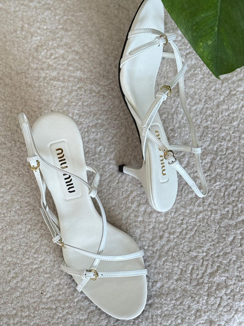 Miu Miu