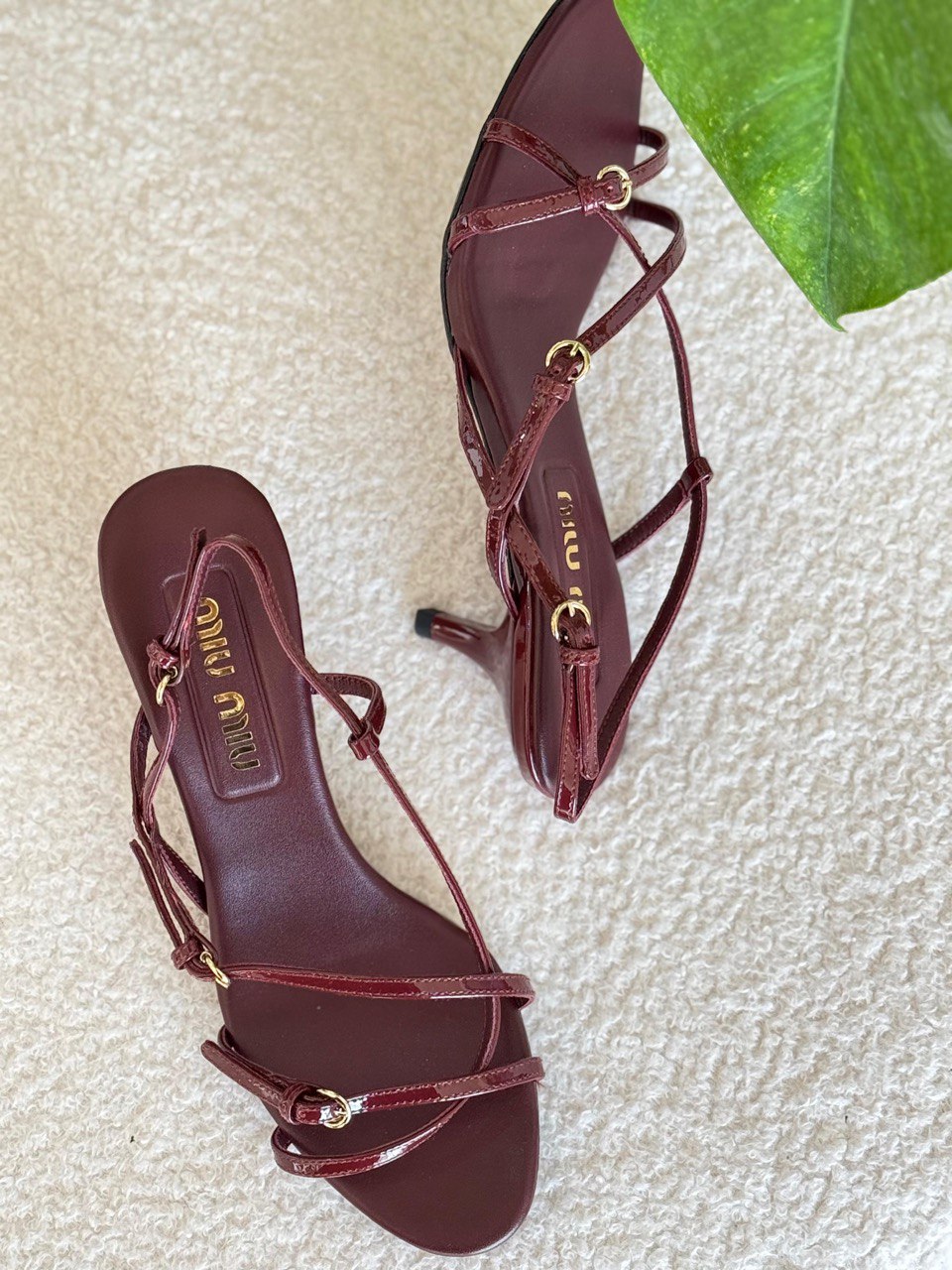 Miu Miu