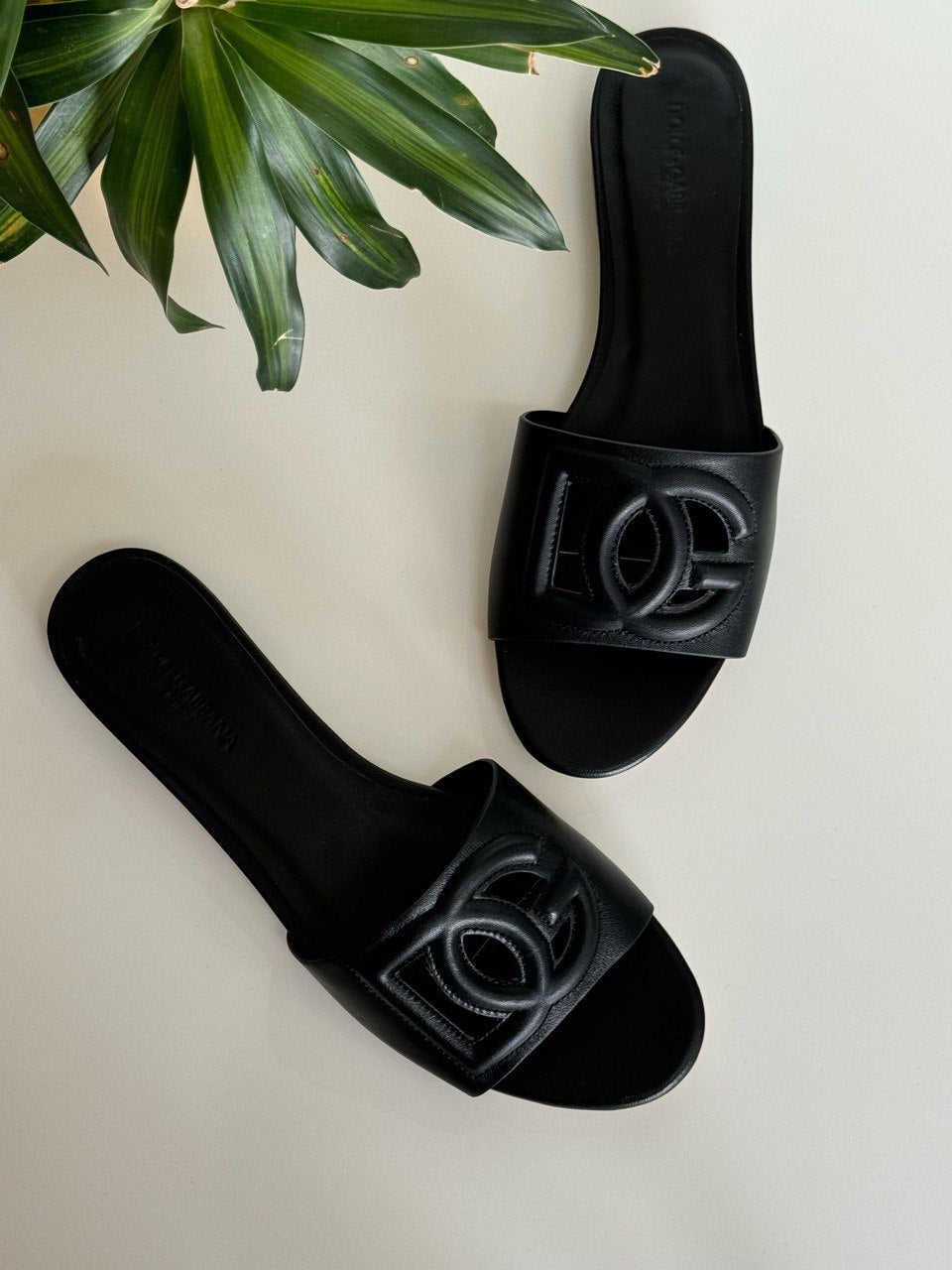 D&G