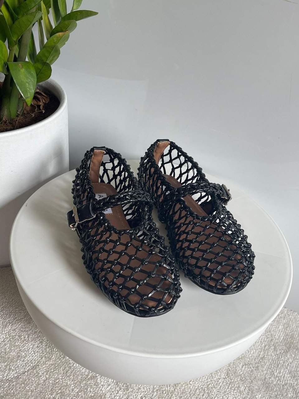 ALAIA