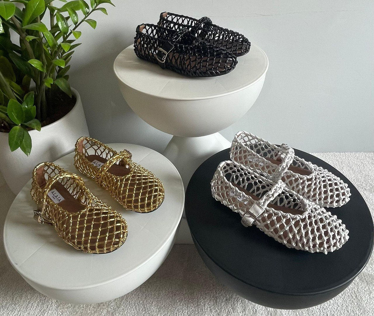 ALAIA