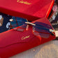 CARTIER SUNGLASSES