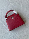 LOUIS VUITTON CAPCIN 21CM REAL OSTRICH LEATHER