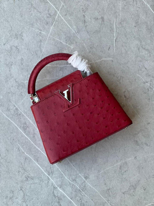 LOUIS VUITTON CAPCIN 21CM REAL OSTRICH LEATHER