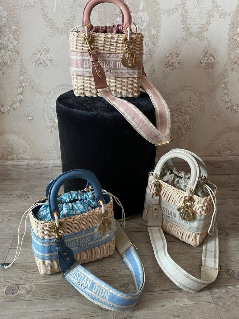 Dior Bag