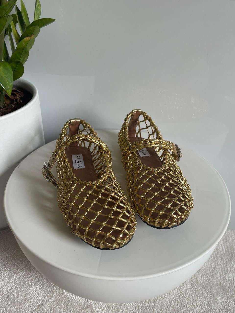 ALAIA