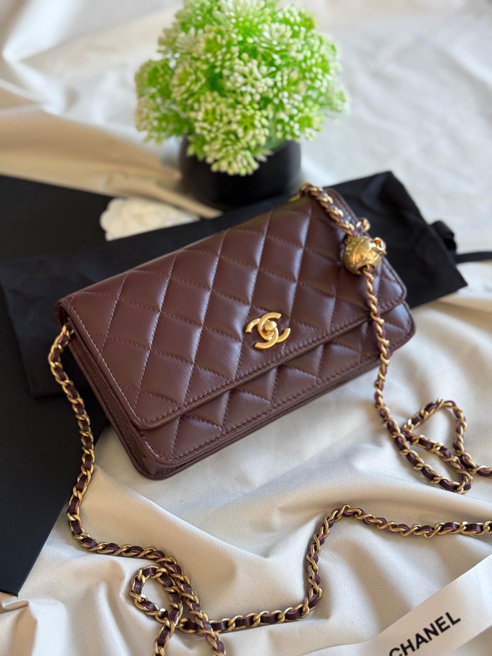 CHANEL